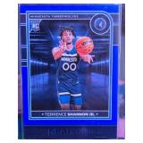 TERRENCE SHANNON JR 2024-25 PANINI NBA HOOPS BLUE ROOKIE CARD