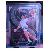 TERRENCE SHANNON JR 2024-25 PANINI SELECT PREMIER LEVEL ROOKIE CARD