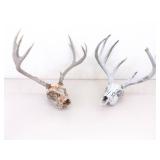 2 Vintage Deer Horn Skulls