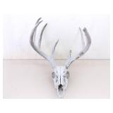 2 Vintage Deer Horn Skulls