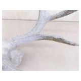 2 Vintage Deer Horn Skulls