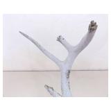 2 Vintage Deer Horn Skulls