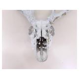 2 Vintage Deer Horn Skulls