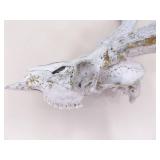 2 Vintage Deer Horn Skulls