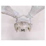 2 Vintage Deer Horn Skulls