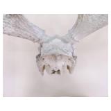2 Vintage Deer Horn Skulls