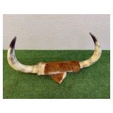 Mounted Horns