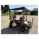 Cricket RX5 Electric Sport Vehicle Loaded With Options