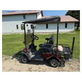 Cricket RX5 Electric Sport Vehicle Loaded With Options