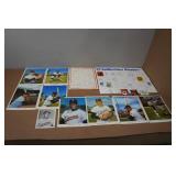 Vintage Minnesota Twins Collector Posters