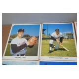 Vintage Minnesota Twins Collector Posters