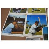 Vintage Minnesota Twins Collector Posters