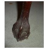 Small stand with claw feet 32x44x30 tall Small stand with claw feet 32x44x30 tall
