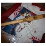 Twins memorabilia, bucket of baseballs, 2 bats Twins memorabilia, bucket of baseballs, 2 bats