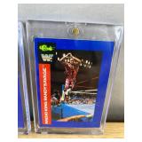 WWF Trading Cards: Macho King Randy Savage & Rowdy Roddy Piper *N