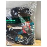 Brand New NFL Team Fan Lot: Lanyards, Stickers, Beanies, Gloves, and Bracelet *N