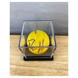 Percy Harvin NFL Minnesota Vikings Autographed Golf Ball in Display Case *X