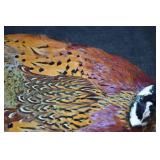 PHEASANT PELT