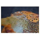 PHEASANT PELT