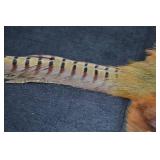 PHEASANT PELT