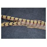PHEASANT PELT