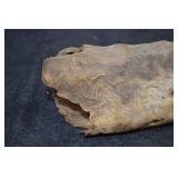 PETRIFIED WOOD