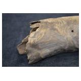 PETRIFIED WOOD
