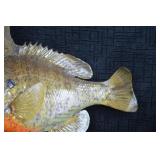 Taxidermized Sunfish - Wall Mounted