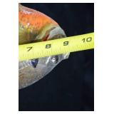 Taxidermized Sunfish - Wall Mounted