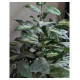 Decorative Large Potted Faux Plant