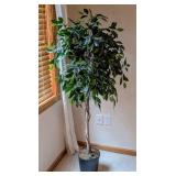 Decorative Faux Ficus