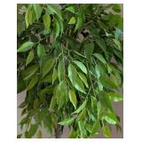 Potted Faux Ficus Tree