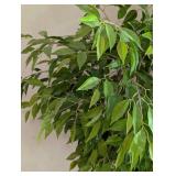 Potted Faux Ficus Tree