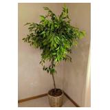 Potted Faux Ficus Tree