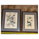 Set of 2 Framed Jean Haefele Signed and Numbered Limited Edition Bird Prints