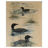 Set of 2 Framed Jean Haefele Signed and Numbered Limited Edition Bird Prints