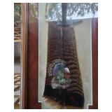 Framed Feather Art with Hand-Painted Turkey by Marilyn Truitt