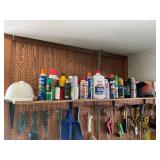 Collection of Automotive Fluids, Insect Sprays, and Lighter Fluids