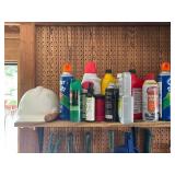 Collection of Automotive Fluids, Insect Sprays, and Lighter Fluids
