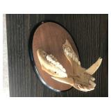 Mounted Collection of Animal Skulls: Black Bear, Wolf, and Jawbone Display