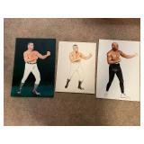 Set of 3 Boxer Portrait Paintings on Canvas and Paper