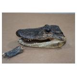 Louisiana 7" Alligator Head & Foot on Key Chain