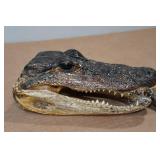 Louisiana 7" Alligator Head & Foot on Key Chain
