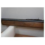 Marlin Glenfield Model 60 .22 LR Semi-Auto Rifle - Carved Stock Marlin Glenfield Model 60 .22 LR Semi-Auto Rifle - Carved Stock