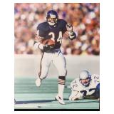 Photo mounted on Styrofoam board of Chicago Bears HOF Great "Walter Payton"