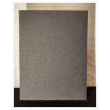 Autographed Photo by Minnesota Vikings Running Back Great "Adrian Peterson" No COA