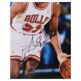 Autographed Photo by Chicago Bulls HOF Great "Scottie Pippen" with COA