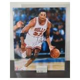 Autographed Photo by Chicago Bulls HOF Great "Scottie Pippen" with COA