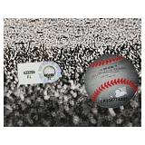 Autographed Photo by Future HOF St. Louis Cardinal Great "Albert Pujols" with COA