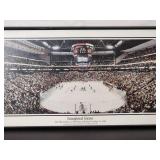 Framed Print of the Minnesota Wild